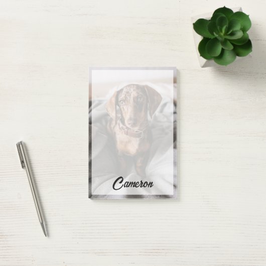 Kutest Baby Animals | Chocolade Dapple Dachshund Post-it® Notes (Kantoor)