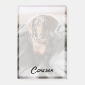 Kutest Baby Animals | Chocolade Dapple Dachshund Post-it® Notes (Voorkant)