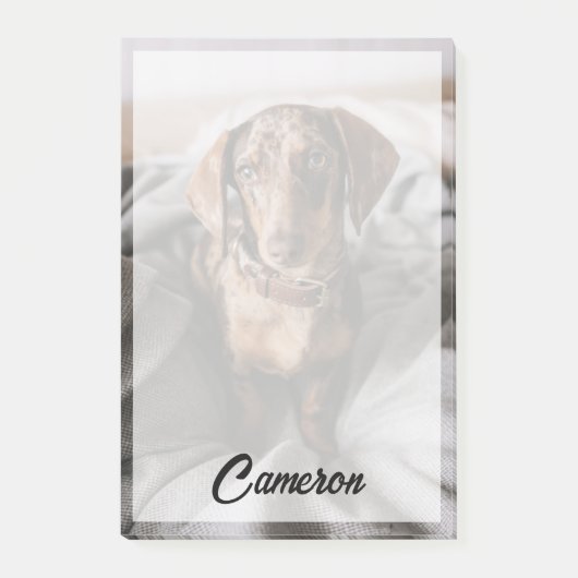 Kutest Baby Animals | Chocolade Dapple Dachshund Post-it® Notes (Voorkant)