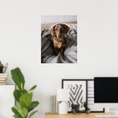 Kutest Baby Animals | Chocolade Dapple Dachshund Poster (Thuiskantoor)