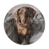 Kutest Baby Animals | Chocolade Dapple Dachshund Snijplank (Voorkant)