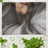 Kutest Baby Animals | Chocolade Dapple Dachshund Theedoek (Gevouwen)