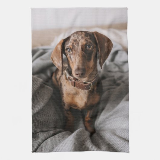 Kutest Baby Animals | Chocolade Dapple Dachshund Theedoek (Verticaal)