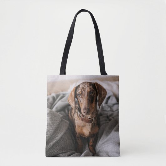 Kutest Baby Animals | Chocolade Dapple Dachshund Tote Bag (Voorkant)