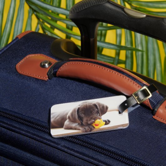Kutest Baby Animals | Chocolade Labrador Puppy Bagagelabel (Voorkant Insitu 3)