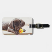 Kutest Baby Animals | Chocolade Labrador Puppy Bagagelabel (Voorkant horizontaal)
