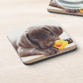 Kutest Baby Animals | Chocolade Labrador Puppy Bier Onderzetter (Linkerzijde)