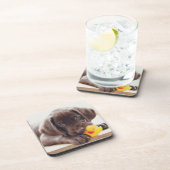 Kutest Baby Animals | Chocolade Labrador Puppy Bier Onderzetter (Rechterzijde)
