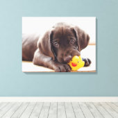 Kutest Baby Animals | Chocolade Labrador Puppy Canvas Afdruk (Insitu (Houten vloer))