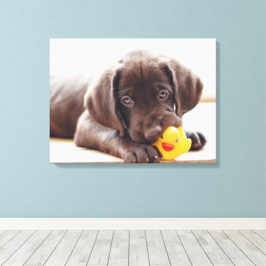 Kutest Baby Animals | Chocolade Labrador Puppy Canvas Afdruk (Insitu (Houten vloer))