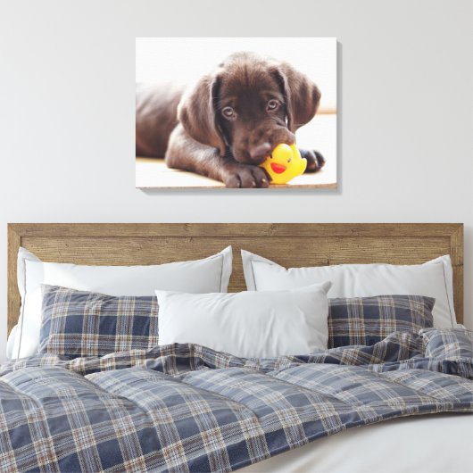 Kutest Baby Animals | Chocolade Labrador Puppy Canvas Afdruk (Insitu (Slaapkamer))