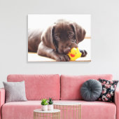 Kutest Baby Animals | Chocolade Labrador Puppy Canvas Afdruk (Insitu (Woonkamer))