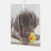 Kutest Baby Animals | Chocolade Labrador Puppy Glas Ornament (Voorkant links)