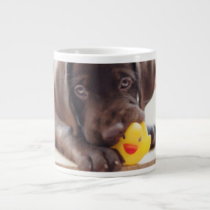 Kutest Baby Animals   Chocolade Labrador Puppy Grote Koffiekop