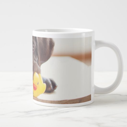 Kutest Baby Animals | Chocolade Labrador Puppy Grote Koffiekop (Rechts)