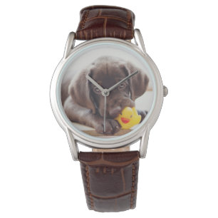 Kutest Baby Animals   Chocolade Labrador Puppy Horloge