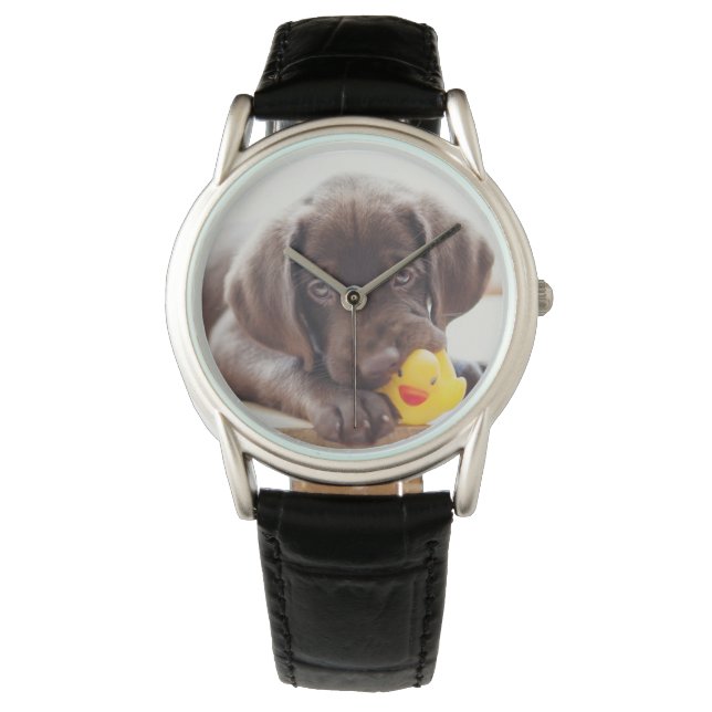 Kutest Baby Animals | Chocolade Labrador Puppy Horloge (Voorkant)