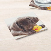 Kutest Baby Animals | Chocolade Labrador Puppy Kartonnen Onderzetters (Schuin)