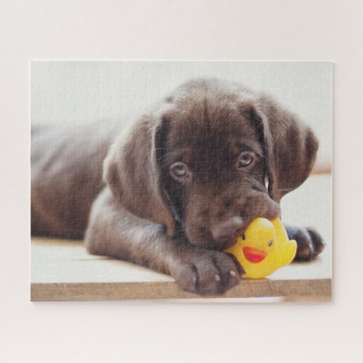 Kutest Baby Animals | Chocolade Labrador Puppy Legpuzzel (Horizontaal)