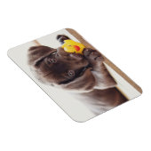 Kutest Baby Animals | Chocolade Labrador Puppy Magneet (Rechterzijde)