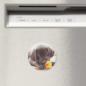 Kutest Baby Animals | Chocolade Labrador Puppy Magneet (Insitu (Vaatwasser))