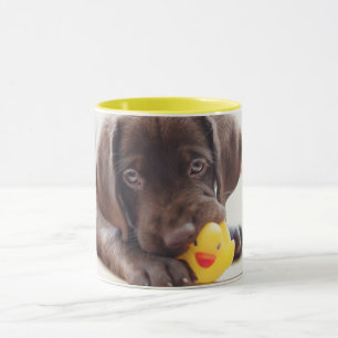 Kutest Baby Animals   Chocolade Labrador Puppy Mok