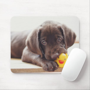 Kutest Baby Animals   Chocolade Labrador Puppy Muismat
