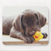 Kutest Baby Animals | Chocolade Labrador Puppy Muismat (Voorkant)