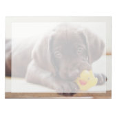 Kutest Baby Animals | Chocolade Labrador Puppy Notitieblok (Voorkant)