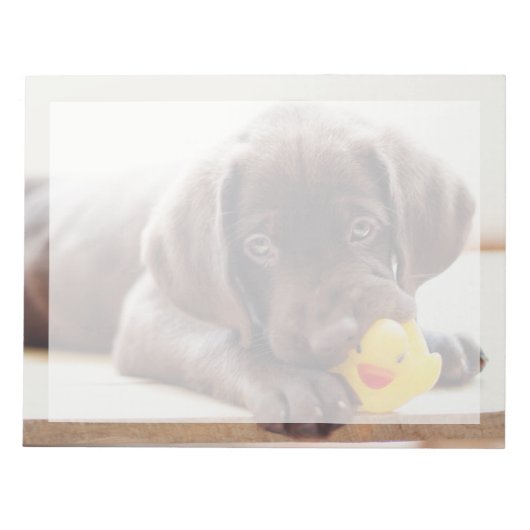 Kutest Baby Animals | Chocolade Labrador Puppy Notitieblok (Voorkant)