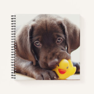 Kutest Baby Animals Chocolade Labrador Puppy Notitieboek