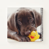 Kutest Baby Animals | Chocolade Labrador Puppy Notitieboek (Achterkant)