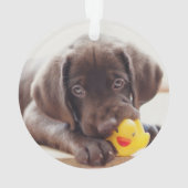 Kutest Baby Animals | Chocolade Labrador Puppy Ornament (achterkant)