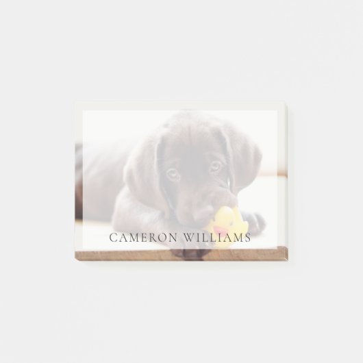 Kutest Baby Animals | Chocolade Labrador Puppy Post-it® Notes (Voorkant)