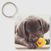 Kutest Baby Animals | Chocolade Labrador Puppy Sleutelhanger (Voorkant)