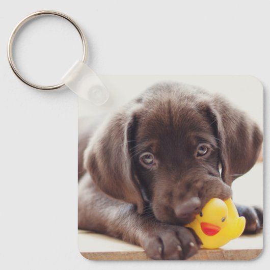 Kutest Baby Animals | Chocolade Labrador Puppy Sleutelhanger (Voorkant)