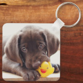 Kutest Baby Animals | Chocolade Labrador Puppy Sleutelhanger (Achterkant)