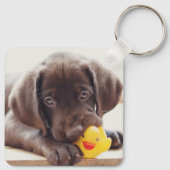 Kutest Baby Animals | Chocolade Labrador Puppy Sleutelhanger (Achterkant)