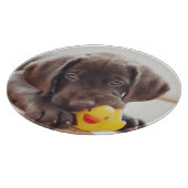 Kutest Baby Animals | Chocolade Labrador Puppy Snijplank (Hoek)
