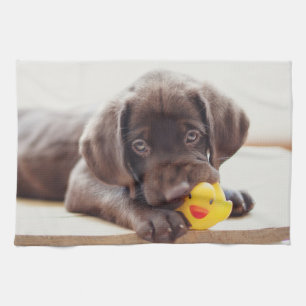 Kutest Baby Animals Chocolade Labrador Puppy Theedoek