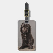 Kutest Baby Animals | Cockapoo Puppy Bagagelabel (Voorkant verticaal)