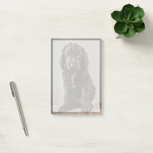 Kutest Baby Animals | Cockapoo Puppy Post-it® Notes (Kantoor)