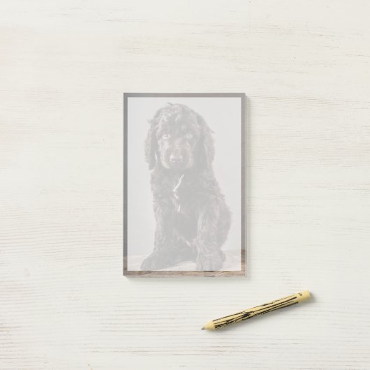Kutest Baby Animals | Cockapoo Puppy Post-it® Notes (Op bureau)
