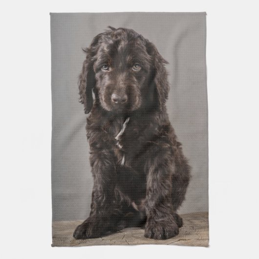 Kutest Baby Animals | Cockapoo Puppy Theedoek (Verticaal)