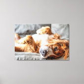 Kutest Baby Animals | Cocker Spaniel Canvas Afdruk (Voorkant)