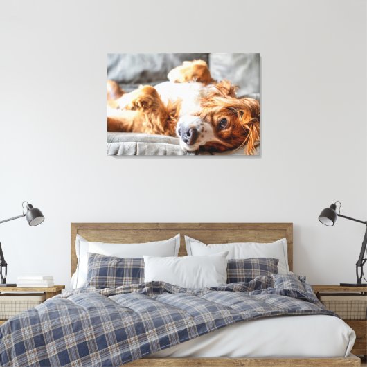 Kutest Baby Animals | Cocker Spaniel Canvas Afdruk (Insitu (Slaapkamer))