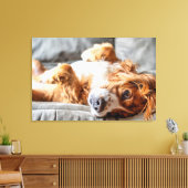 Kutest Baby Animals | Cocker Spaniel Canvas Afdruk (Insitu (Woonkamer))