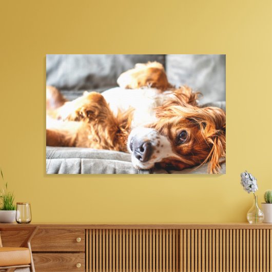 Kutest Baby Animals | Cocker Spaniel Canvas Afdruk (Insitu (Woonkamer))