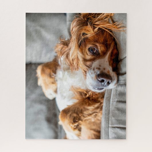 Kutest Baby Animals | Cocker Spaniel Legpuzzel (Verticaal)