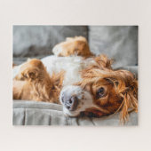 Kutest Baby Animals | Cocker Spaniel Legpuzzel (Horizontaal)
